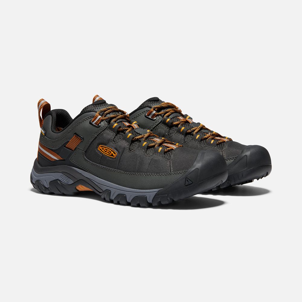 Keen Wandelschoenen Heren Zwart/Goud - Targhee Exp Waterproof - 32504-JNDO